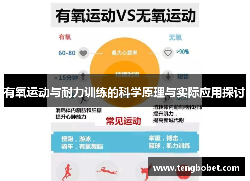 有氧运动与耐力训练的科学原理与实际应用探讨