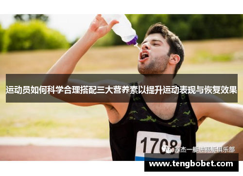 运动员如何科学合理搭配三大营养素以提升运动表现与恢复效果