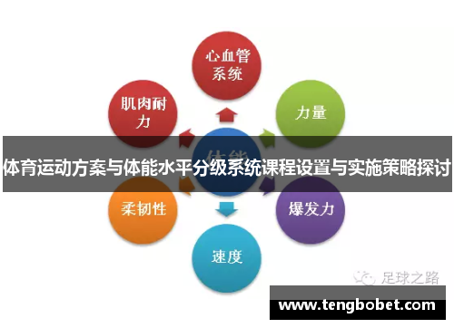 体育运动方案与体能水平分级系统课程设置与实施策略探讨